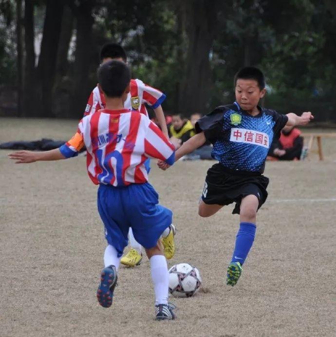 山东泰山U17总比分6-5击败浙江U19，夺得U19中青赛冠军_青训_中国_男子